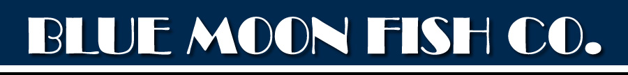 Ponto Miami restaurantes em fort lauderdale Blue Moon Fish Co 1 Ponto Miami restaurantes em fort lauderdale Blue Moon Fish Co 1