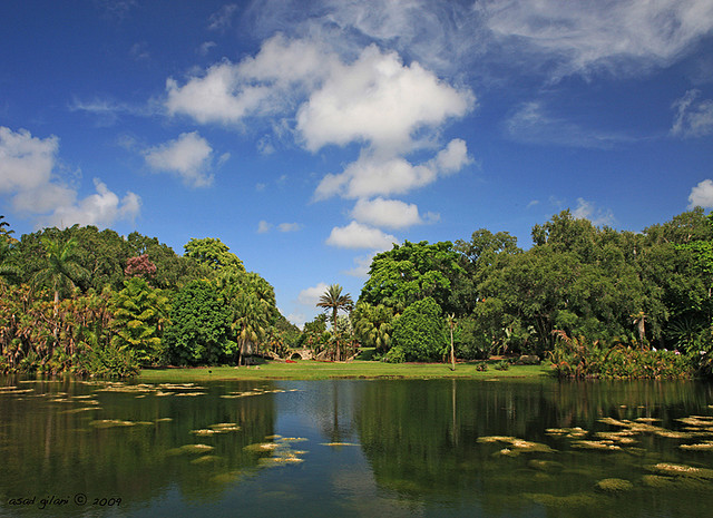 fairchild-tropical-garden-37881 Ponto Miami Dicas de Miami O que fazer em Miami South Miami 2