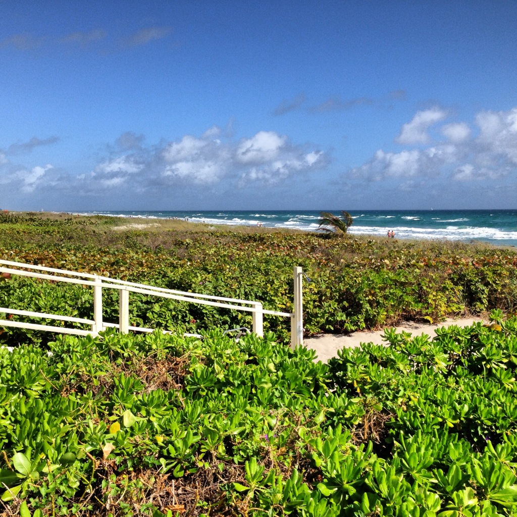 Ponto Miami O que fazer em Miami Delray Beach 4