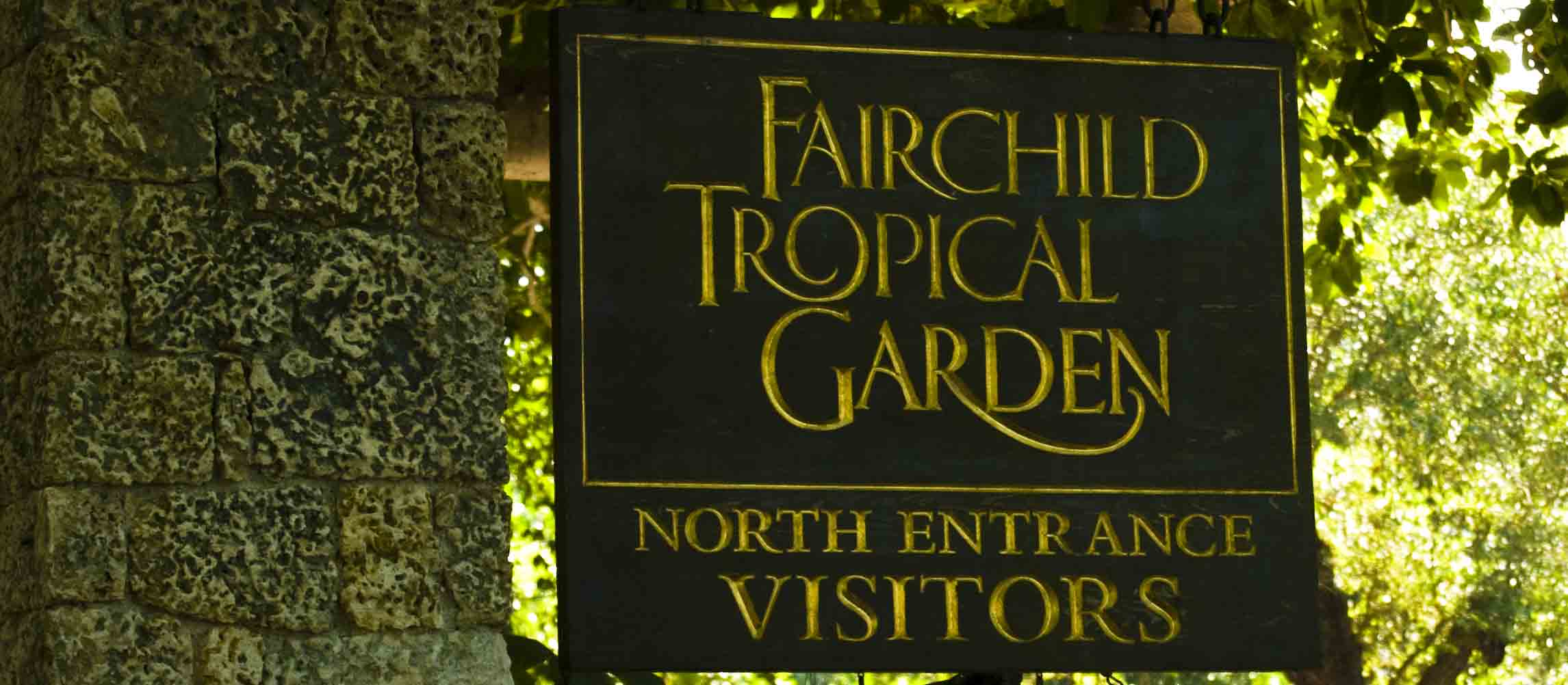 Ponto Miami O que fazer em Miami Dicas de Miami Fairchild 01