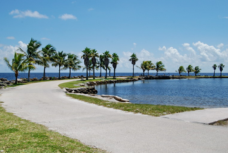 Ponto Miami O que fazer em Miami Dicas de Miami Matheson Hammock Park 3