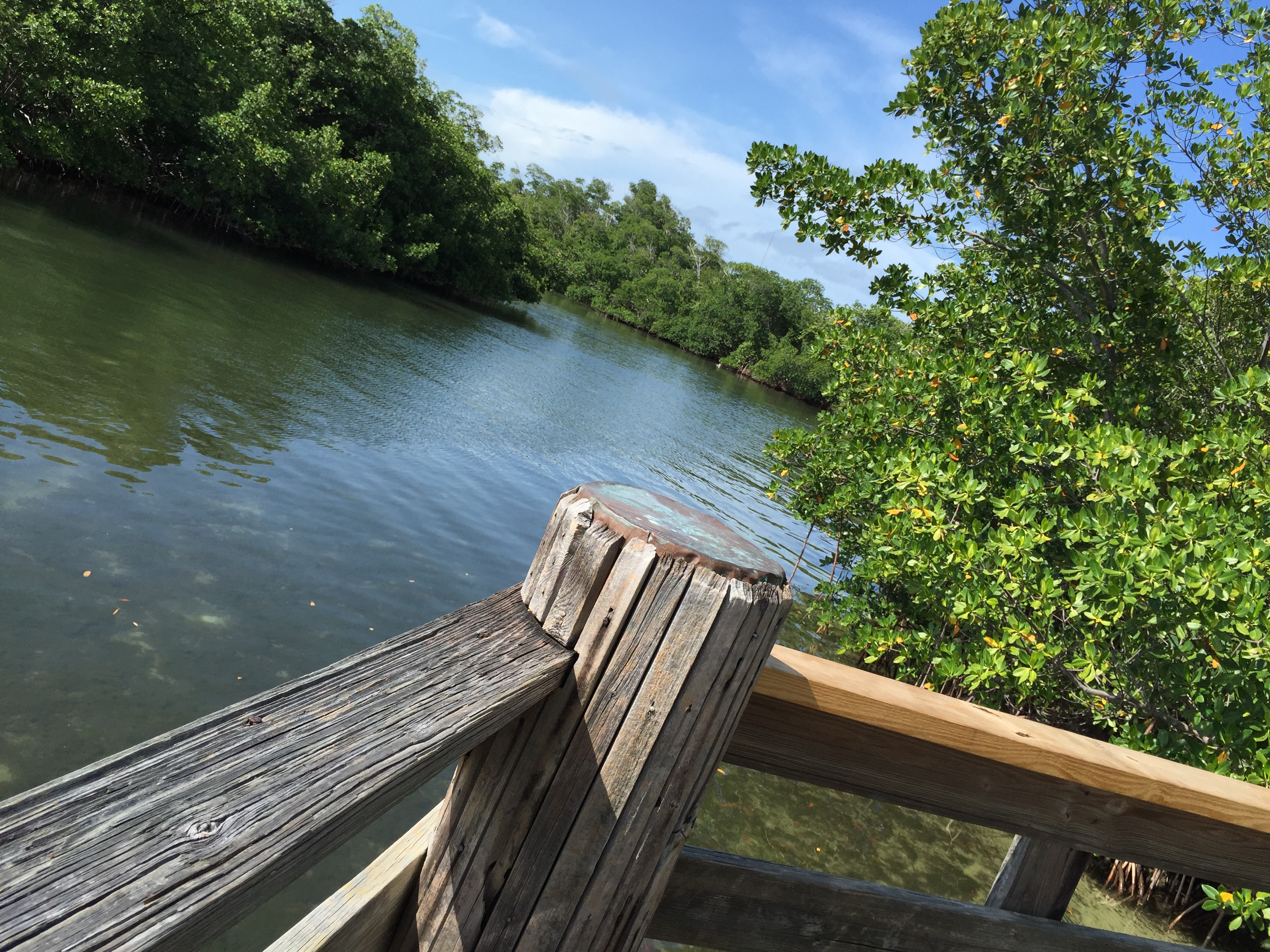 Ponto Miami O que fazer em Miami dicas de Miami JULBSP 6