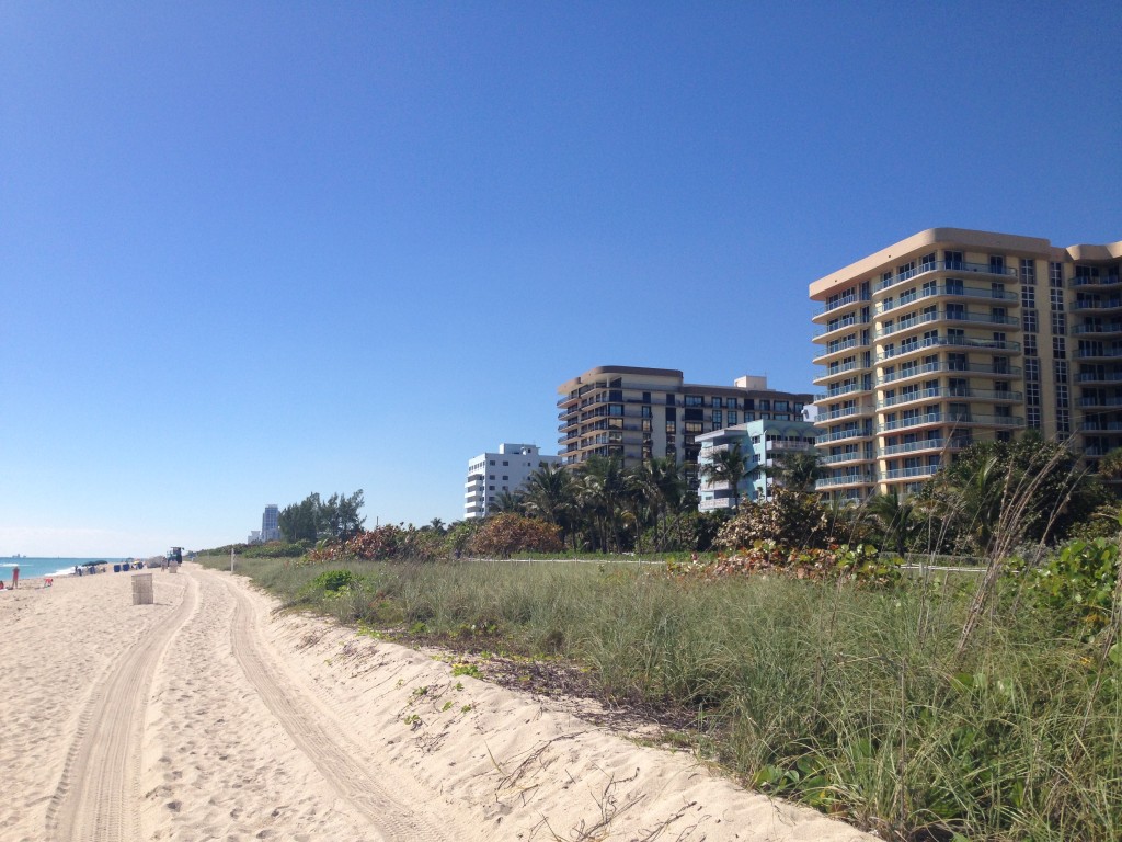 Ponto Miami O que fazer em Miami Outubro em Miami 001