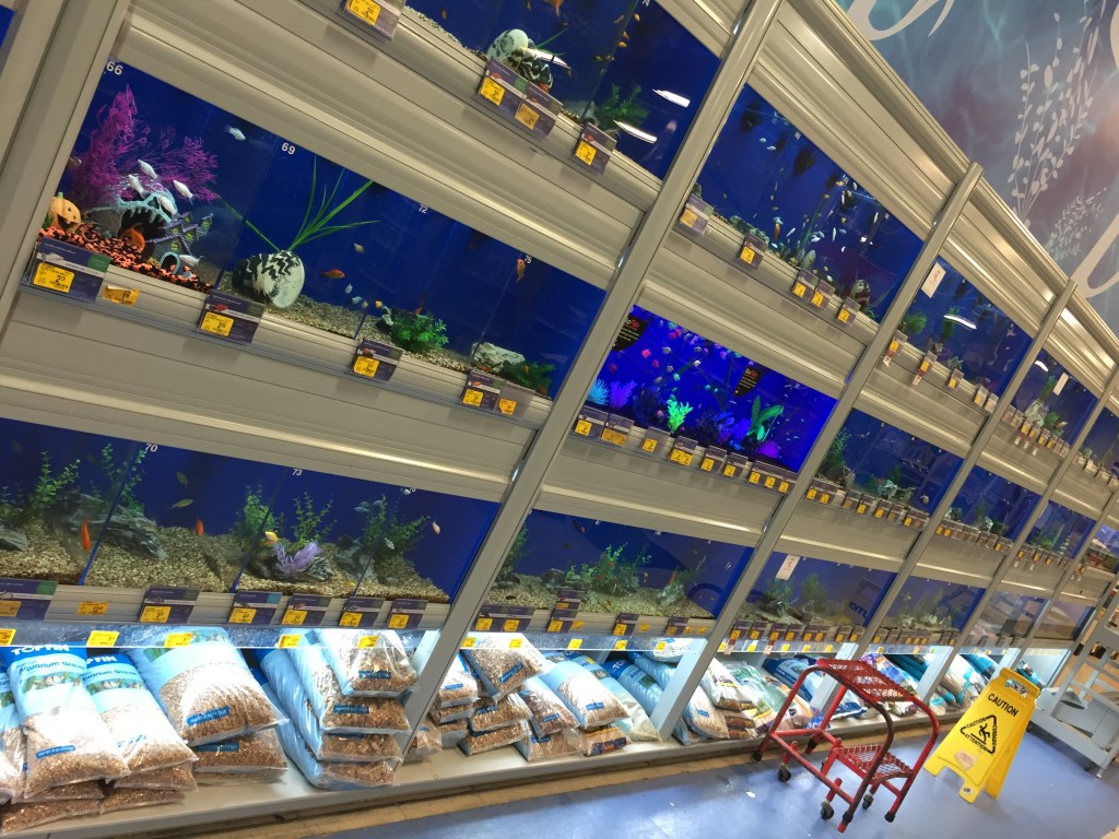 Ponto Miami Compras em Miami Lojas em Miami Petsmart 005