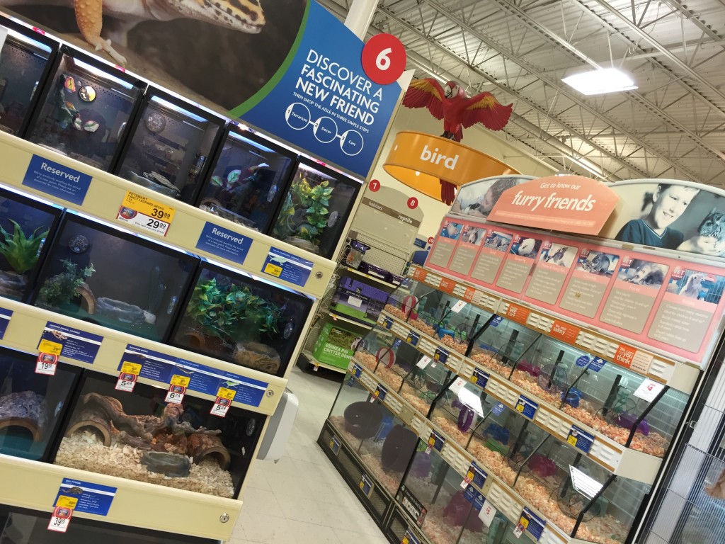 Ponto Miami Compras em Miami Lojas em Miami Petsmart 004