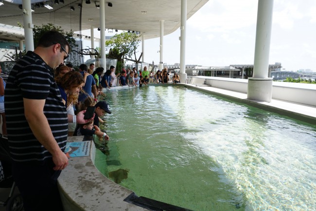 Ponto Miami O que fazer em MIami Frost Science 005