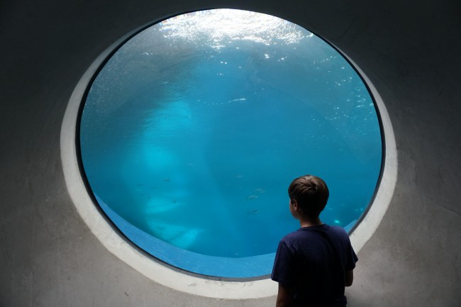 Ponto Miami O que fazer em MIami Frost Science 003