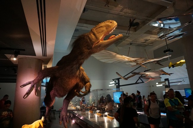 Ponto Miami O que fazer em MIami Frost Science 004