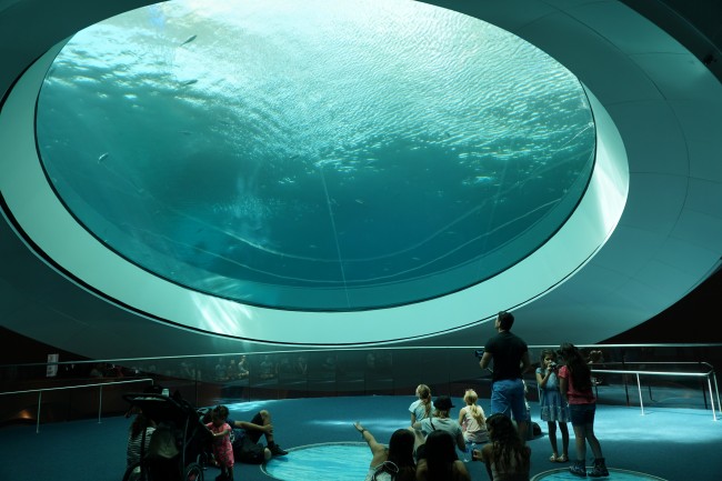 Ponto Miami O que fazer em MIami Frost Science 002